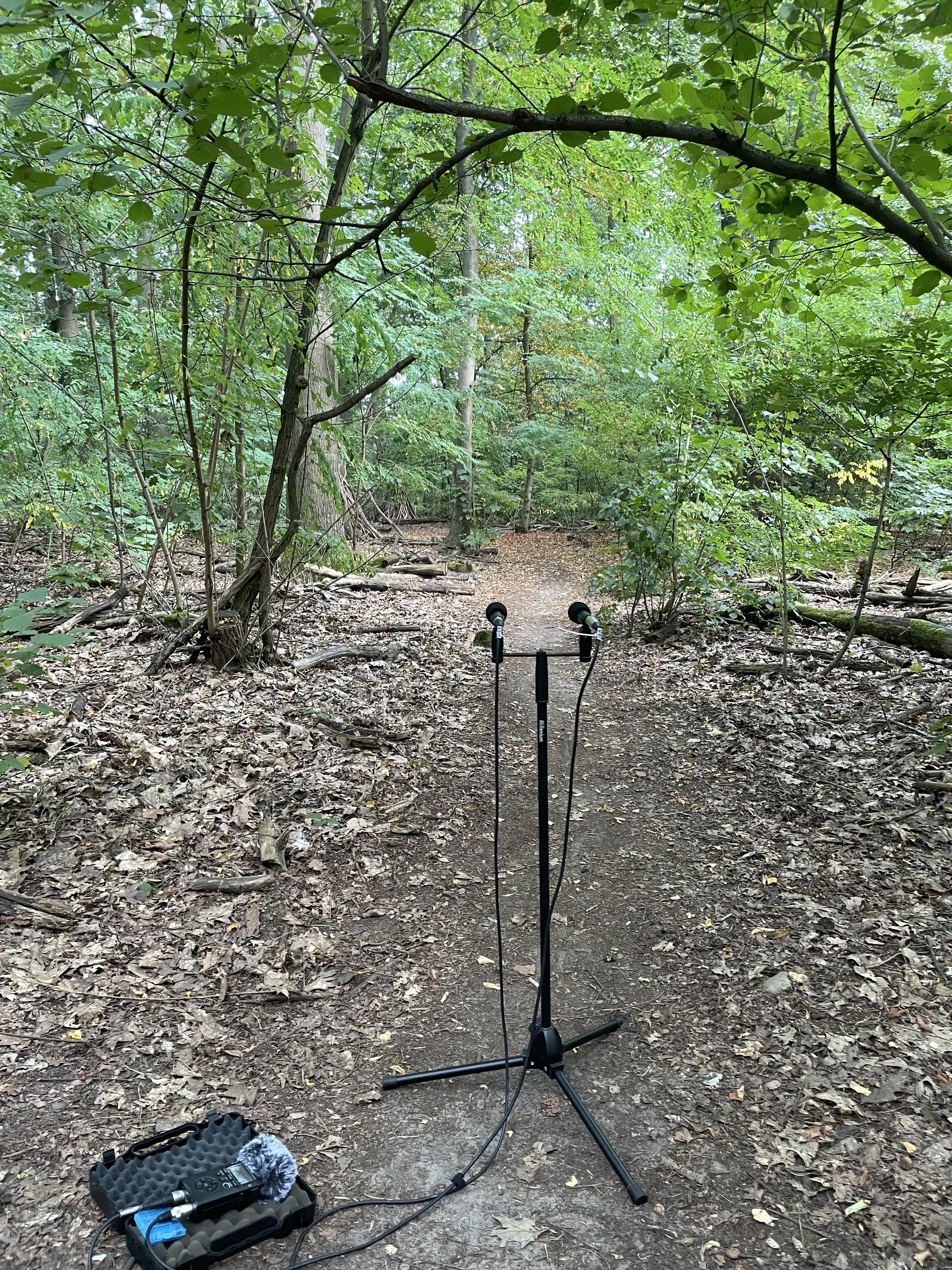 Berlin-Grunewald
